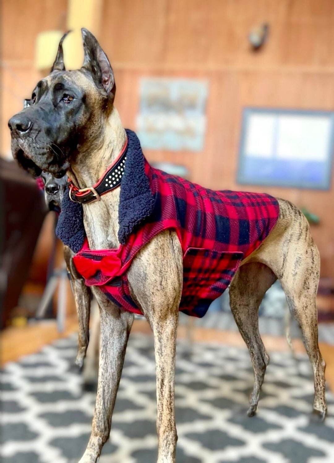 Great Dane/big Dog Double Layered Fleece Cold Weather Vest/coat With