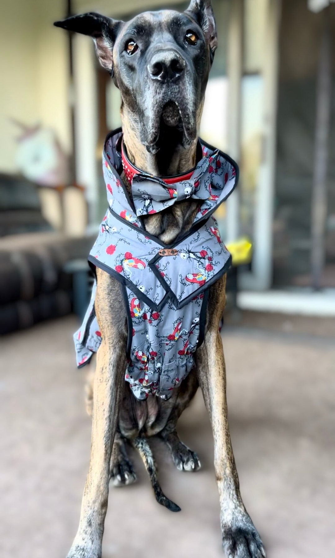 Valentines Day Jack&sally Vest. Great Dane Fleece and Cotton Coat W