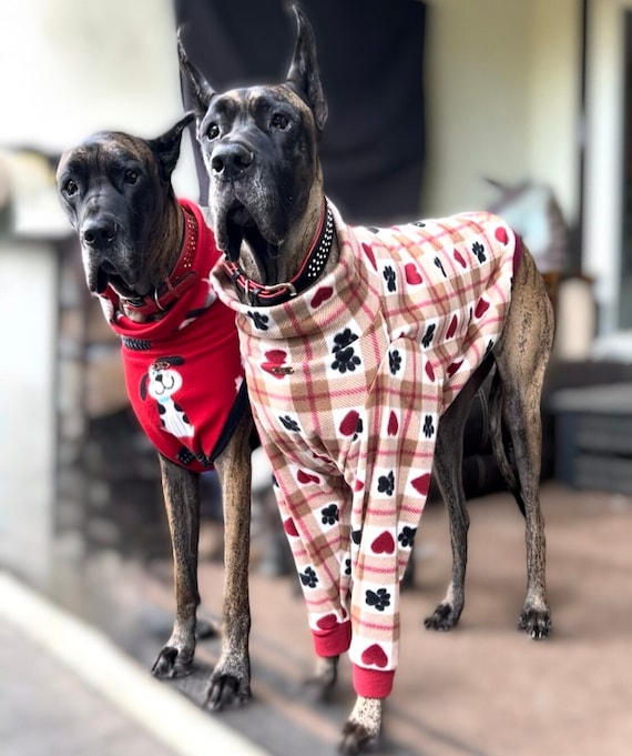 Great Dane Dog T-Shirt Great Dane Dog T-Shirt