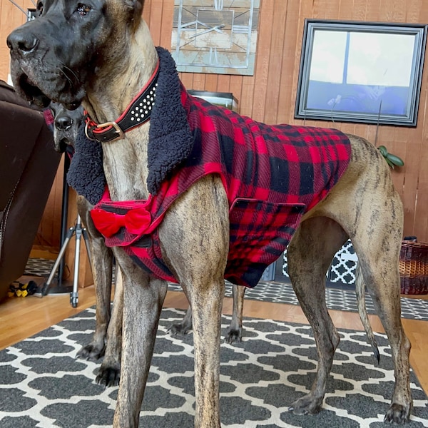 Mastiff Coat Etsy