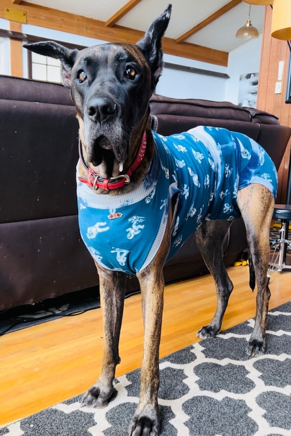 Great Dane Mom Red Bandana Women T-Shirt Gift Great Dan Dog Great Dane Mom Red Bandana Women T-Shirt Gift Great Dan Dog