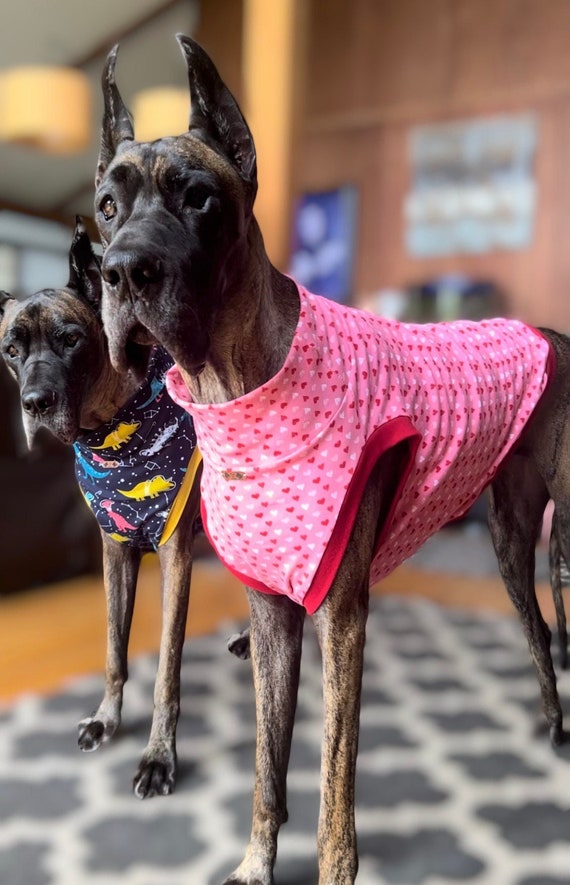 Great Dane Dog T-Shirt Great Dane Dog T-Shirt