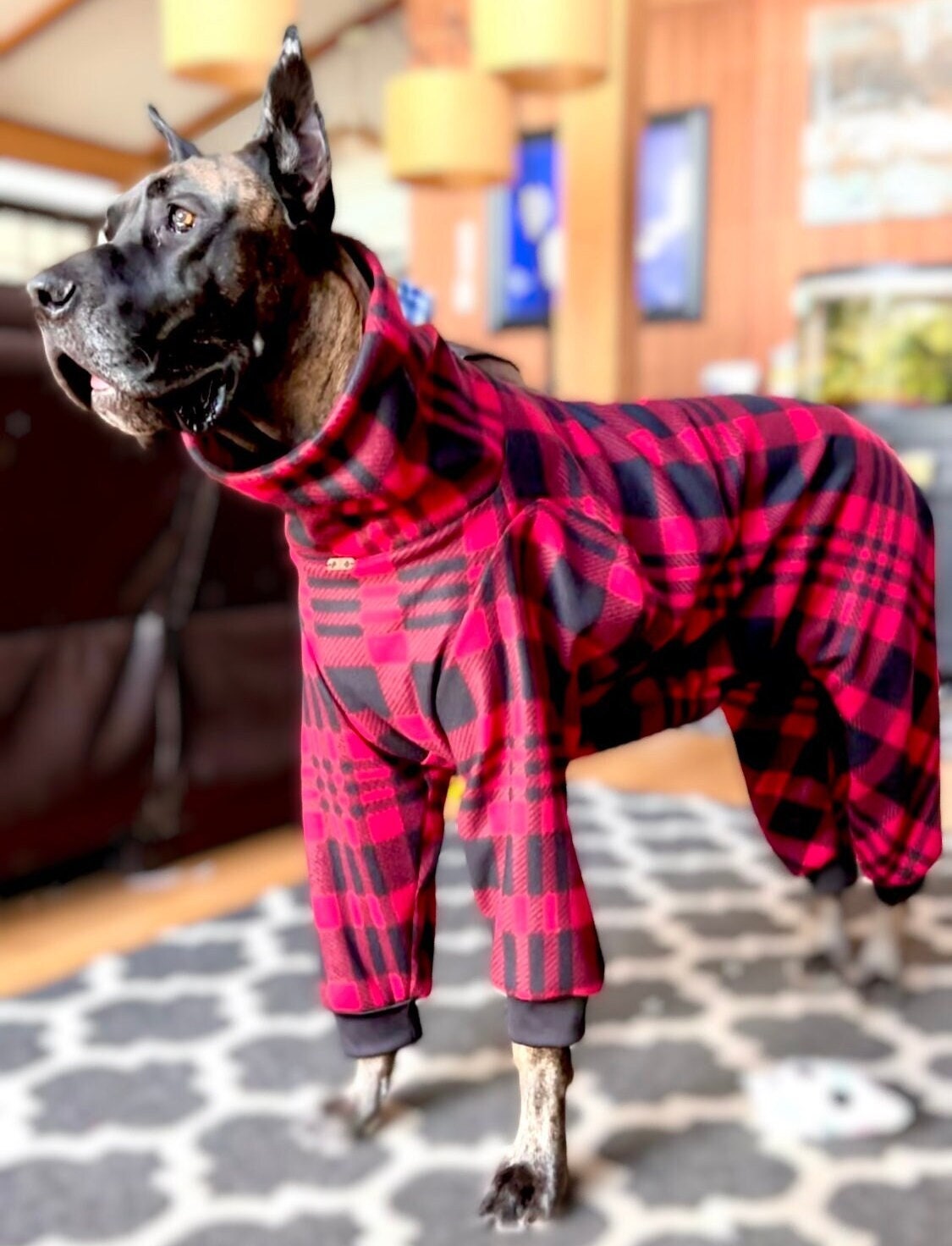 Great dane dog pajamas 2025