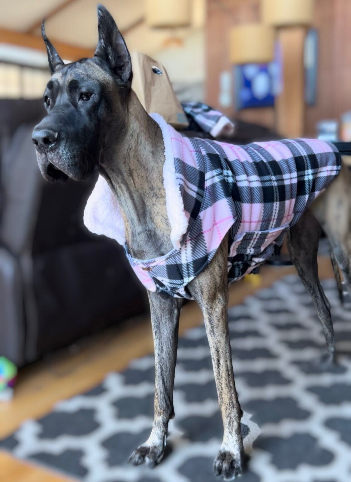 Great Dane big Dog Double Layered Fleece Cold Weather Vest coat With Sherpa Lined Collar. Pink Plaid Vest Etsy