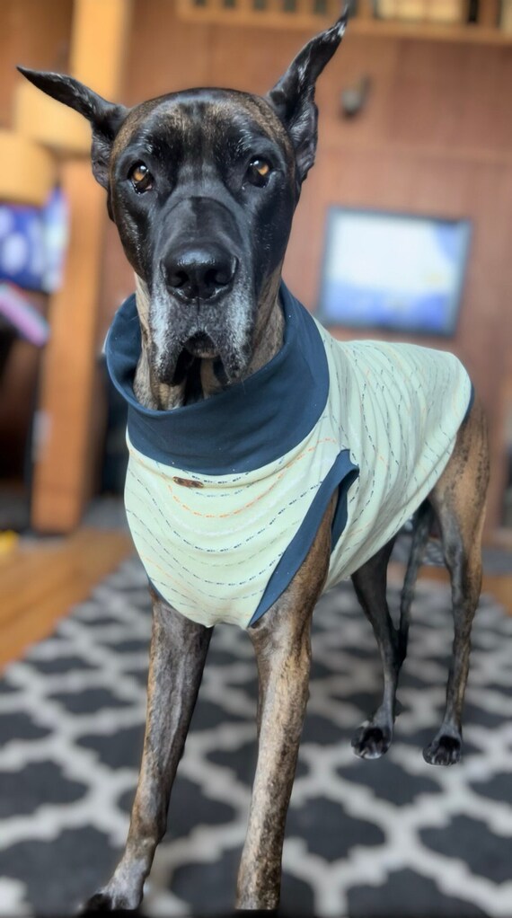 Great Dane Giant Large Breed Dog Summer Tee Shirt. Animal Critters T shirt Warm Weather Shirt for Dogs. Custom Made for Other Breeds Etsy