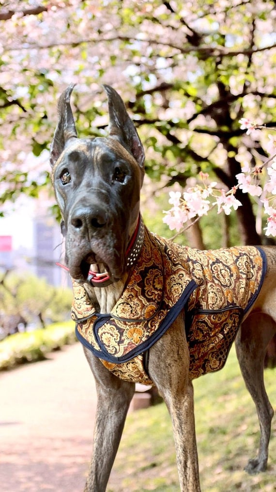 Great Dane Umbrella - Brindle Great Dane Umbrella - Brindle