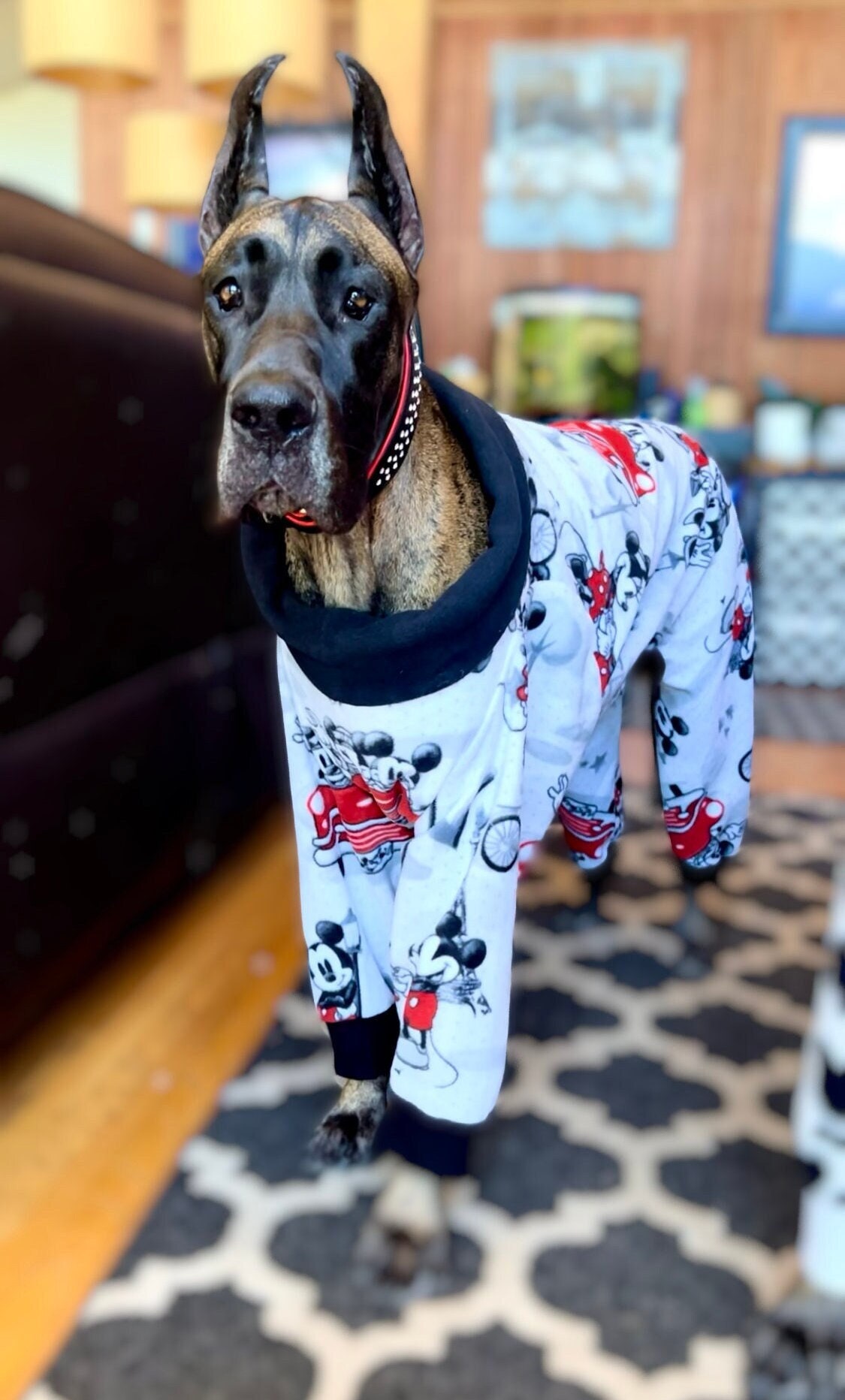 Great dane best sale pjs
