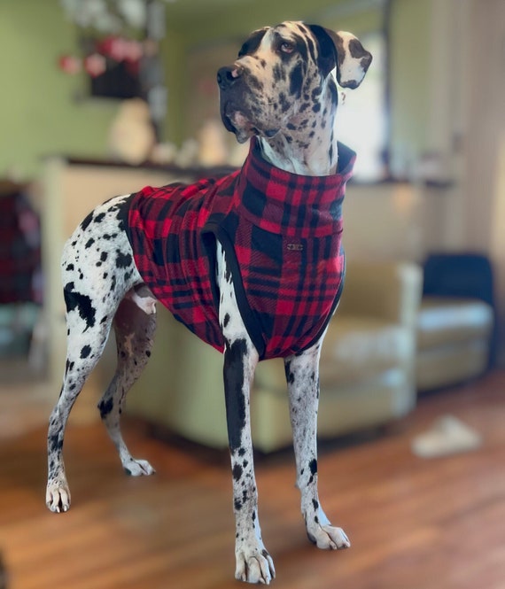 Great Dane T-Shirt Big Dog Great Dane T-Shirt Big Dog