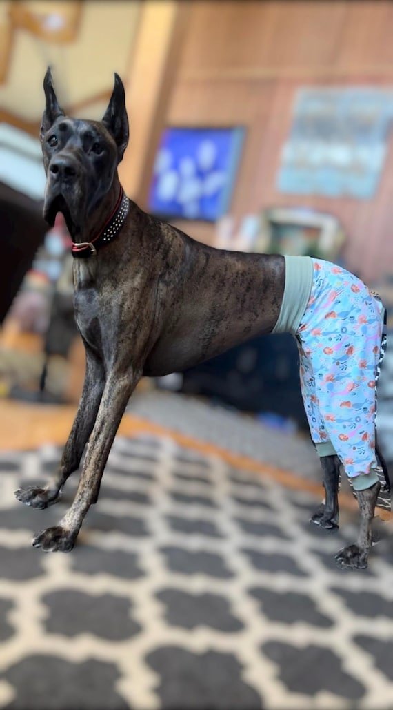 Great Dane Pants Great Dane Pants
