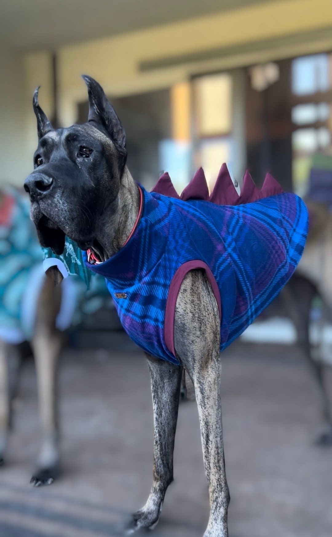 Dinosaur Carnival Dog Shirt With Scales
