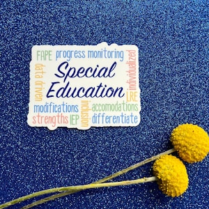 May include: A white sticker with the words "Special Education" in blue, surrounded by other words related to special education, including "FAPE", "progress monitoring", "data driven", "individualized", "LRE", "modifications", "strengths", "IEP", "inclusion", "accommodations", and "differentiate".
