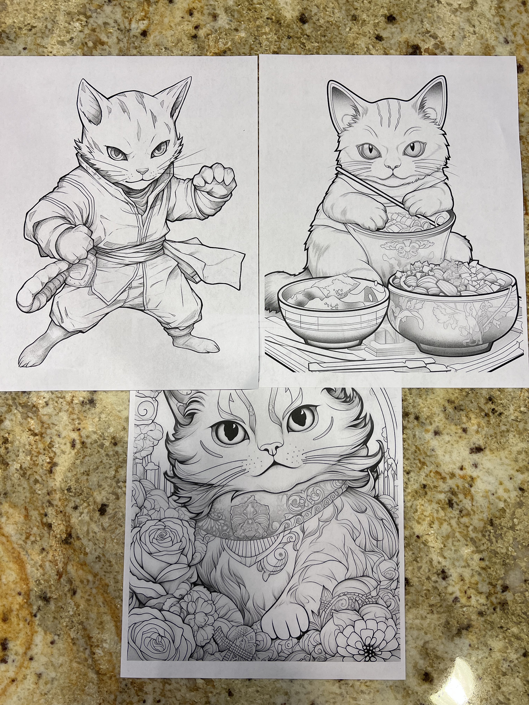 Cat-themed Coloring Pages - Etsy