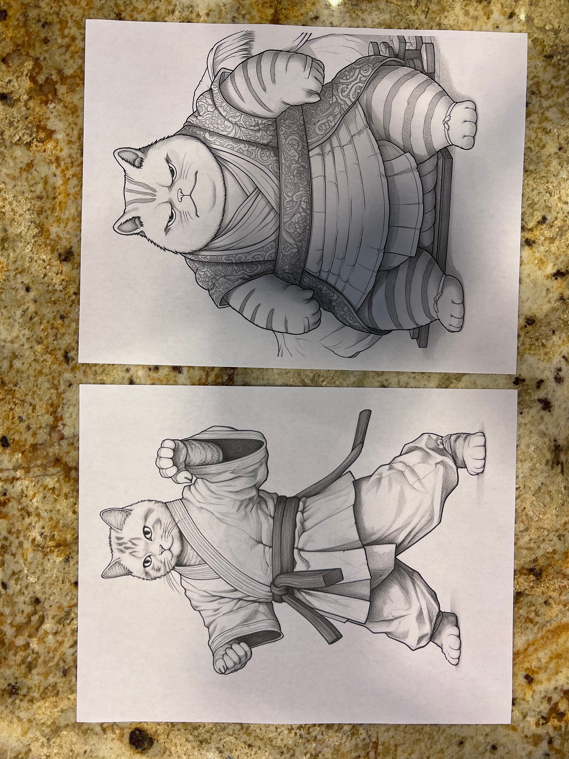 Cat-themed Coloring Pages - Etsy