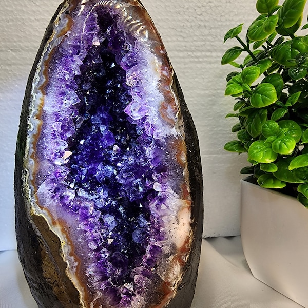 Amethyst Cathedral from Uruguay 4.3Lb