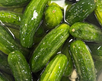 Garlic Dill Pickles: Crispy, Crunchy & Garlicky (#1 Seller!)