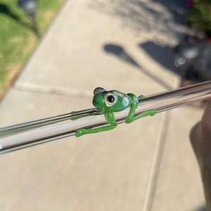 Frosch Glas-Stroh - Verspielte Amphibien-Kunst, handgefertigtes Teich-Geschenk