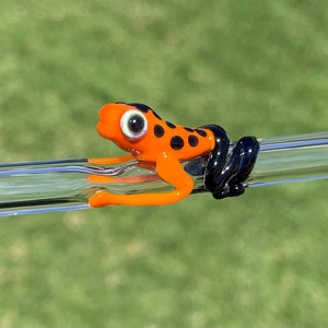 Puede incluir: Rana de vidrio naranja con manchas negras posada sobre una pajita de vidrio transparente. La rana tiene un ojo grande y negro.