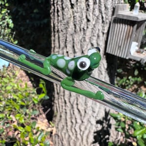 Pajita de vidrio soplado con forma de rana arborícola: Vasos y tazas artesanales de vidrio soplado con forma de anfibio.