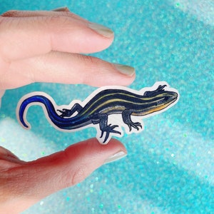 Five Lined Skink Vinyl Sticker // Blue Tailed Skink // Lizard Sticker // Lizard Gift