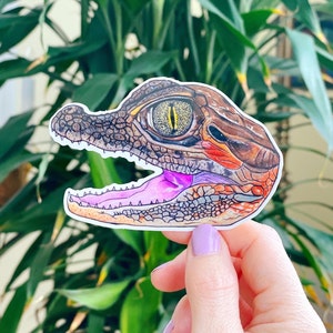 Caiman Vinyl Sticker // Animal Sticker // Großer Aufkleber // Reptil Geschenk // Alligator // Krokodil // Wildlife Art // Herpetology