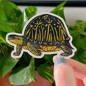 Florida Box Schildkröte Vinyl Aufkleber // Tier Aufkleber // Natur Aufkleber // Party Geschenk // Schildkröte Geschenk // Schildkröte