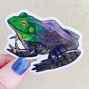 Ochsenfrosch Vinyl Aufkleber // Tier Aufkleber // groß Aufkleber // Reptil Geschenk // Frosch // Ochsenfrosch // Wildtiere Kunst // Herpetologie