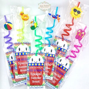 End of Year Straw Party Favors, Summer Classroom Gift, Teacher Gift for Student, Non Candy Party Favors for Kids, Gifts for Kids