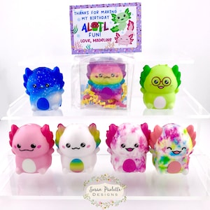 Axolotl Birthday Party Favors, Salamander Gifts for Kid’s B-day Party, Classroom Birthday Favors for Classmates, Non-candy Treat
