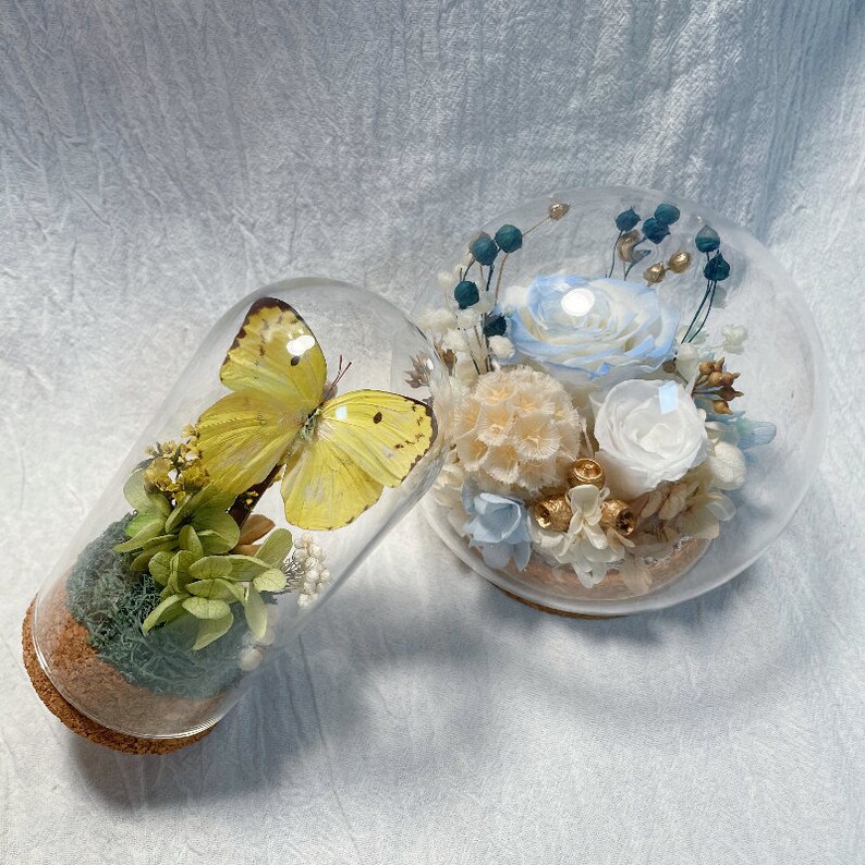 Beautiful Yellow Green Butterfly Home Decor/vintage Dried Plant Glass
