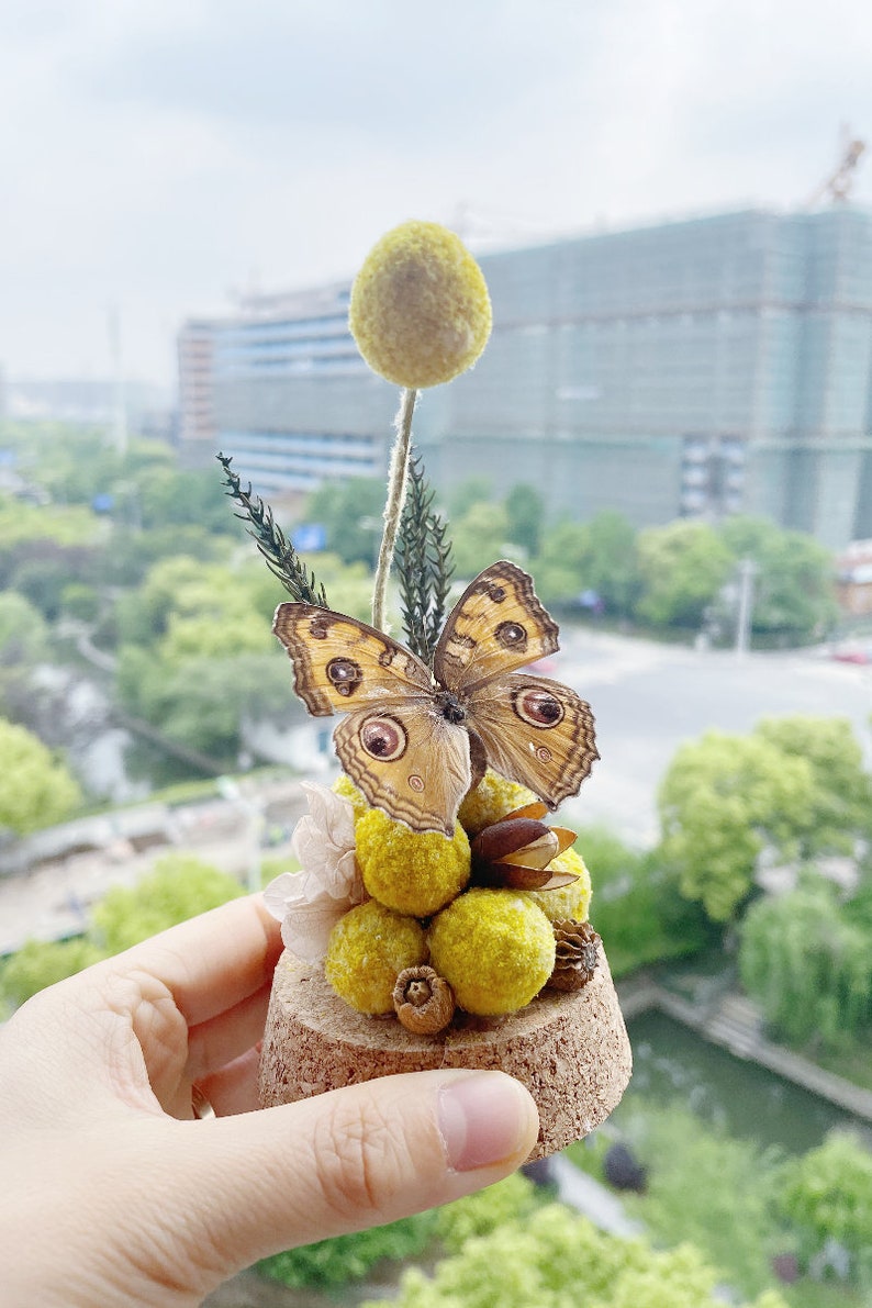 Beauty Eye Butterfly Specimen Home Decor Dried Golden Ball Bouquet Wall