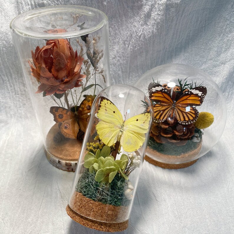 Beautiful Yellow Green Butterfly Home Decor/vintage Dried Plant Glass