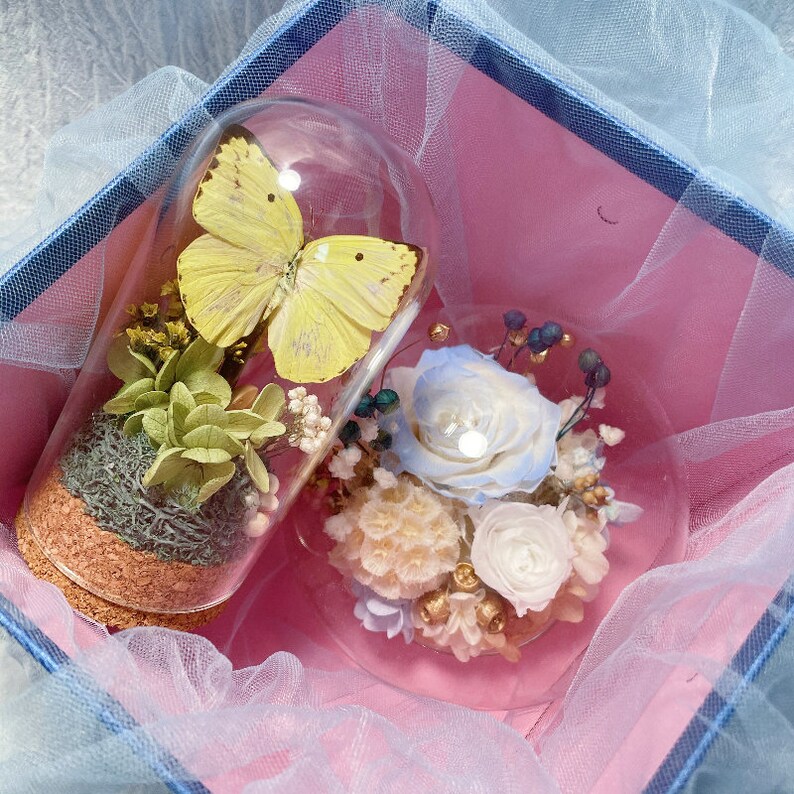 Beautiful Yellow Green Butterfly Home Decor/vintage Dried Plant Glass