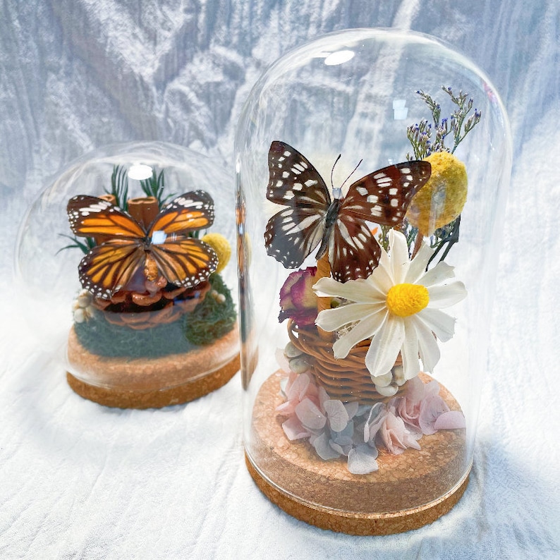 Real butterfly specimen Glass dome wirh flower basekt home decor gift for birthday gift/floral wall art with preserved butterfly/mothers day image 7