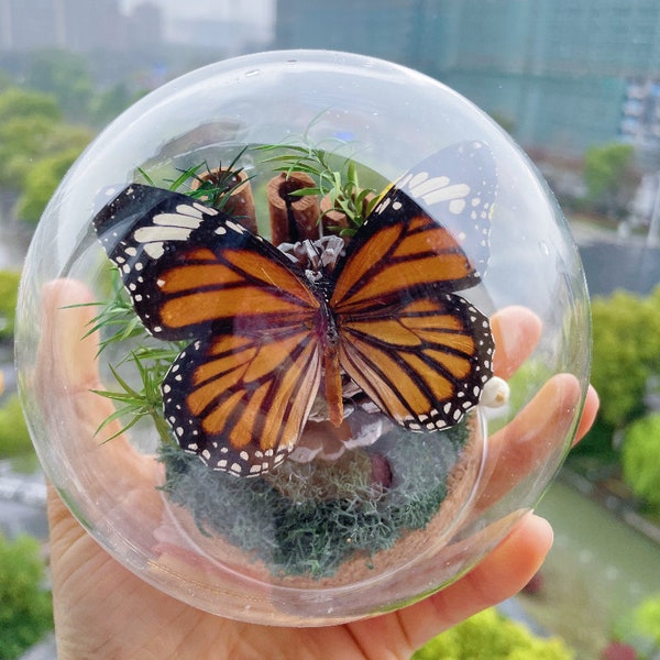 Konservierte getigerte Schmetterling Probe Glaskuppel / Getrocknete Pflanzen Glas Cloche / Schmetterling Probe Geburtstagsgeschenke / Wohnkultur für ihren Muttertag