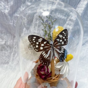 Real butterfly specimen Glass dome wirh flower basekt home decor gift for birthday gift/floral wall art with preserved butterfly/mothers day image 4