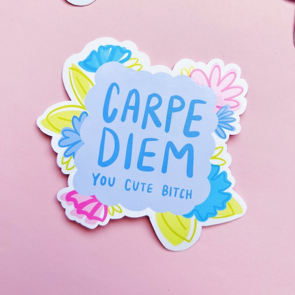 Carpe Diem You Cute Bitch Sticker | Funny motivational decal