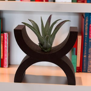May include: A dark brown wooden air plant holder with a distinctive, curved design. It holds a green air plant with purple-tipped leaves. The holder is on a white shelf, with books in the background. A decorative item for home decor, suitable for a modern interior.