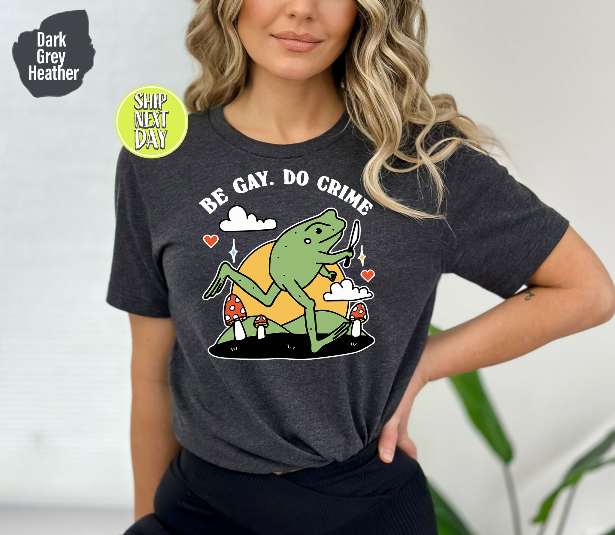 Be Gay Do Crime Frog Tshirt, Be Gay Shirt, Funny Frog Tee