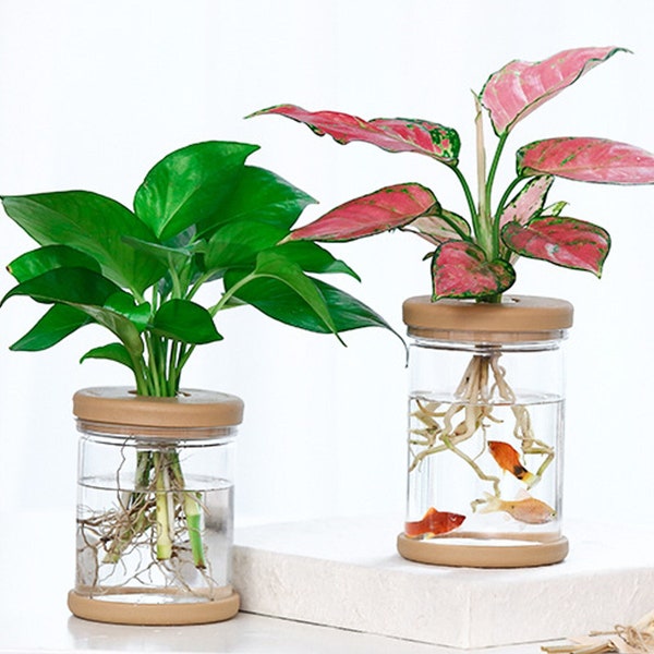 Hydroponic Flower pot Mini Transparent Soilless Plant Pot for Green Plants Home Decoration Flowerpots Glass imitation