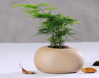 Flowerpot Stone Design Retro and Unique Ceramic Plant Pot