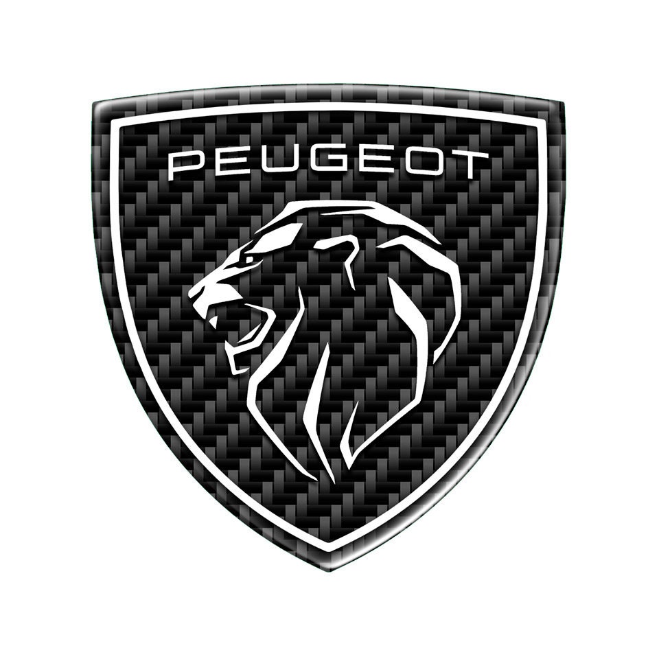 Auto Emblem Aufkleber für Peugeot 2008 206 207 3008 301, Auto Logo  Abzeichen Außenschutzaufkleber Selbstklebend Autoaufkleber dekorative  Autozubehör,B : : Auto & Motorrad