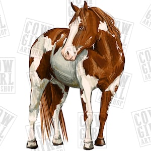 American paint Horse png sublimacja projekt do pobrania, Ręcznie rysowany koń png, western Horse png, Horse png, sublimacja wzorów do pobrania