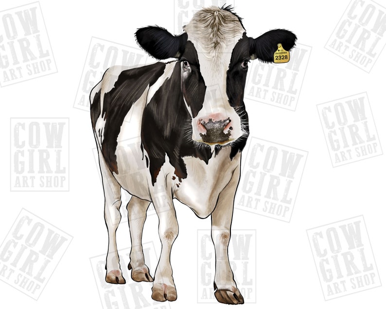 May include: A black and white Holstein cow with a yellow ear tag labelled "2328". The cow is standing on a white background.