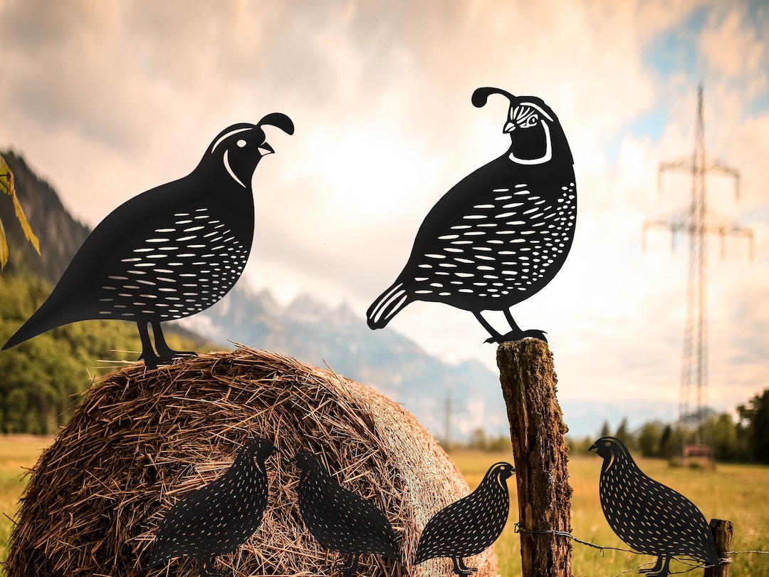 Quail Family Metal Art These Metal Birds Will Look Great in Etsy