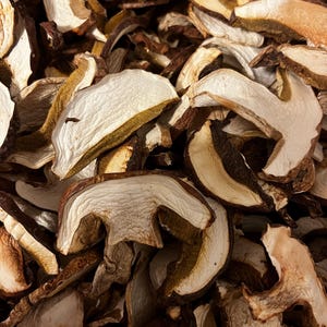 Dried porcini mushrooms