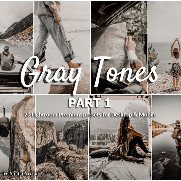 20 Lightroom Presets Gray Tones part 1, Aesthetic Preset, Silver Presets, Blogger Presets, Lifestyle Presets, Brown Presets, Silver Preset