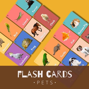 Flashcards Animali domestici PDF Download, Schede flash animali per l'istruzione domiciliare e la logopedia, Risorsa ESL, Regalo per bambini piccoli, Regalo per insegnanti
