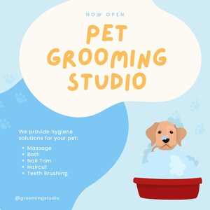 Pet grooming studio flyer