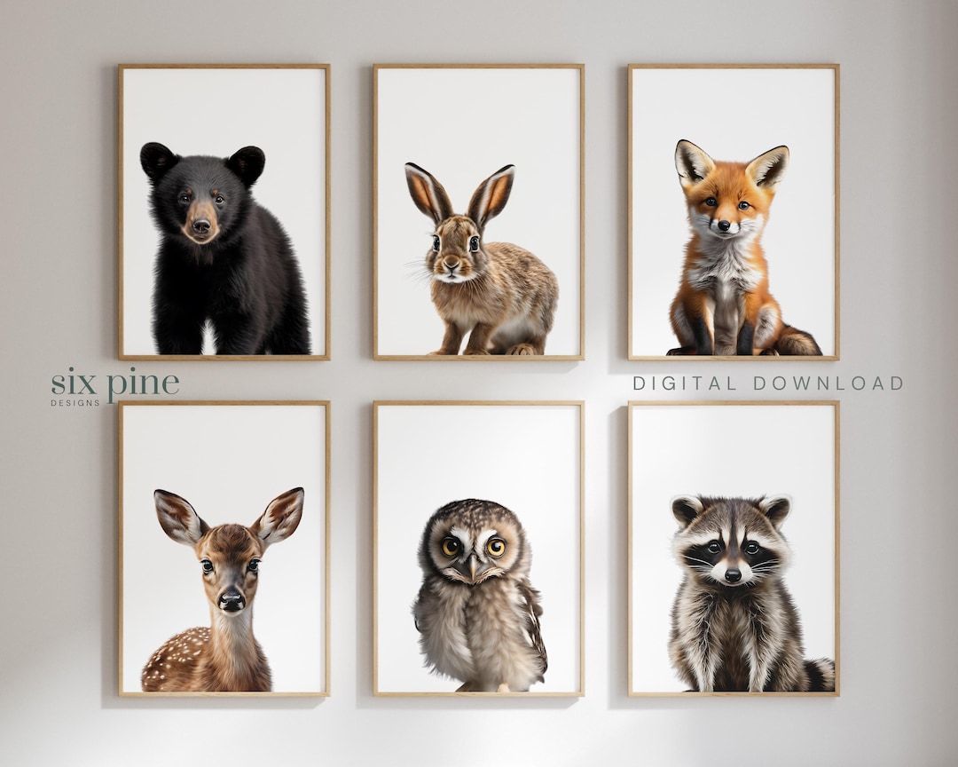 Woodland Nursery Decor, Set of 6 Baby Animal Nursery Prints, Woodland ...