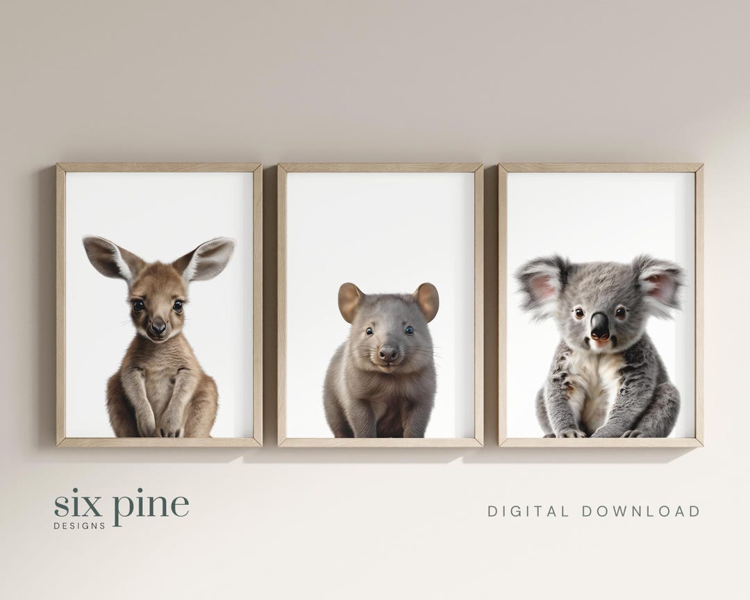 Australian Animal Nursery Art Set of 3, Australian Animal Prints ...